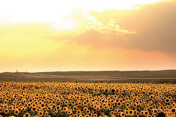 西氣東輸三線(xiàn)管道工程（甘肅段）